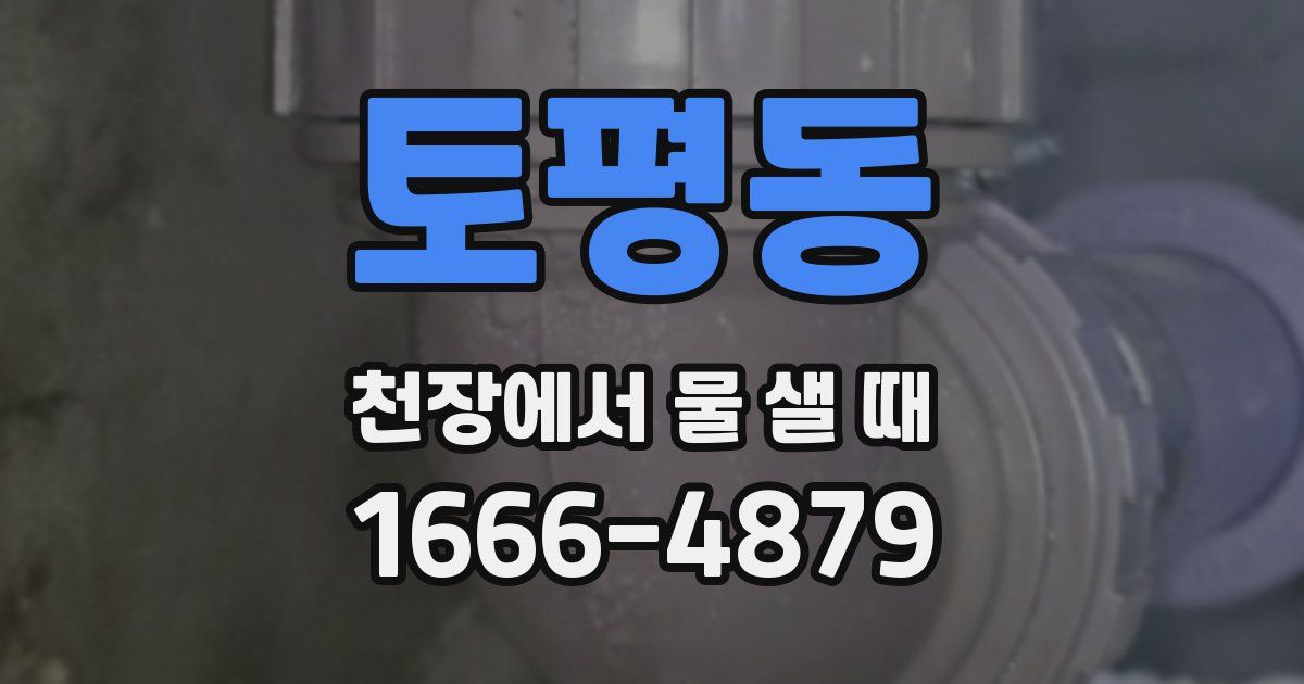 토평동 천장에서 물 샐 때