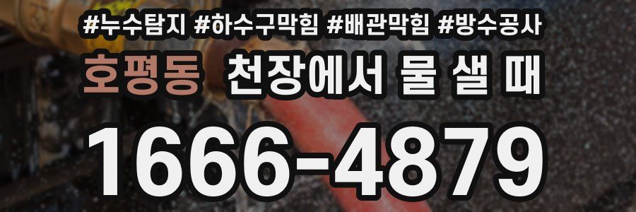 호평동 천장에서 물 샐 때