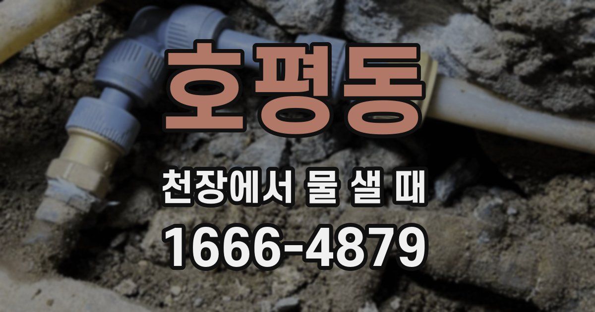 호평동 천장에서 물 샐 때