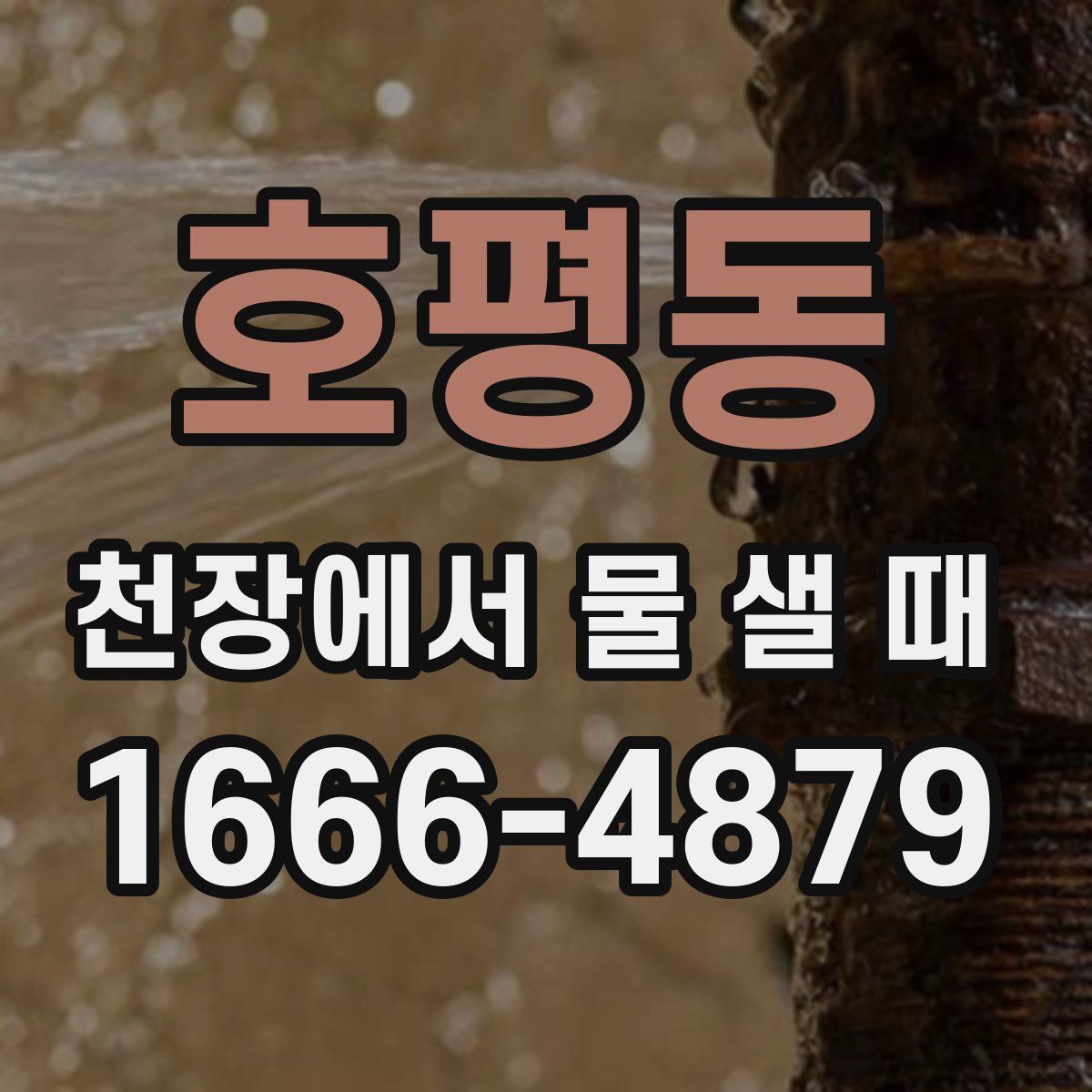 호평동 천장에서 물 샐 때