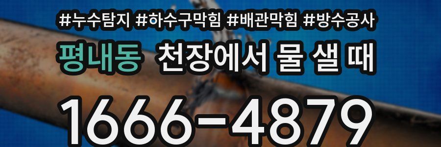 평내동 천장에서 물 샐 때