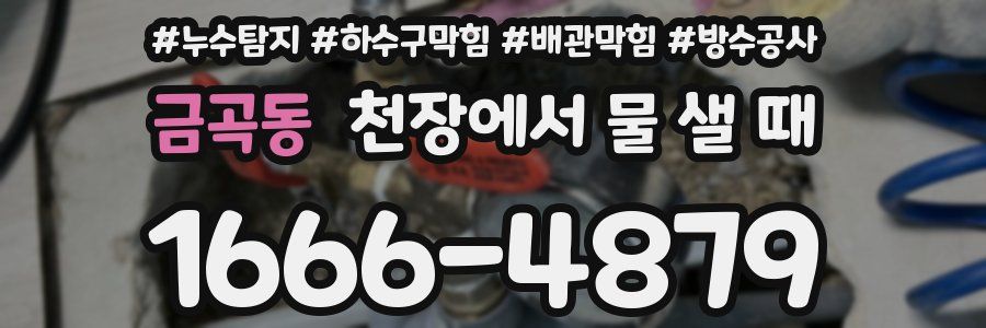 금곡동 천장에서 물 샐 때