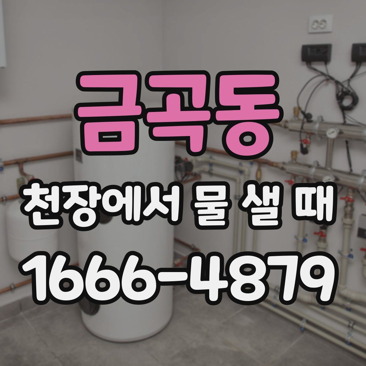 금곡동 천장에서 물 샐 때