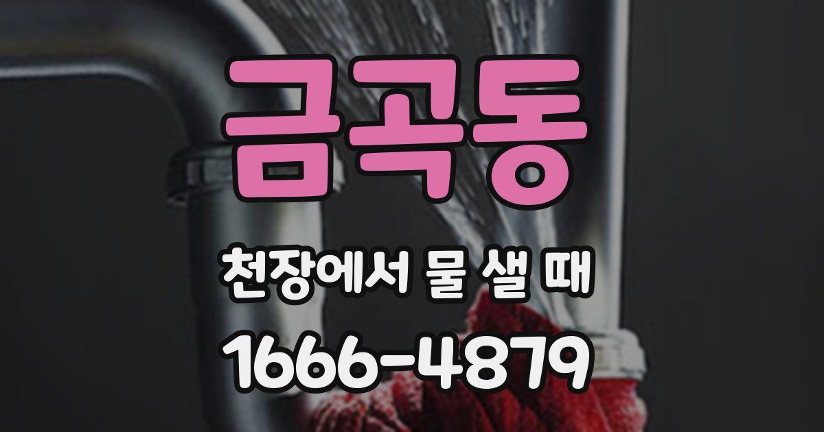 금곡동 천장에서 물 샐 때