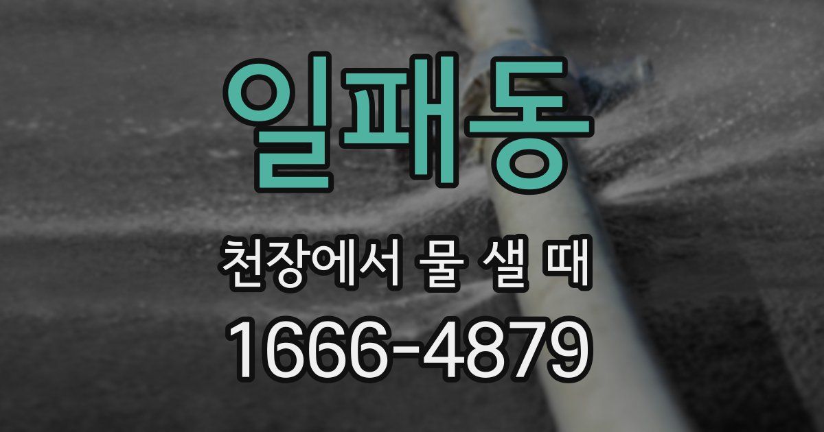 일패동 천장에서 물 샐 때
