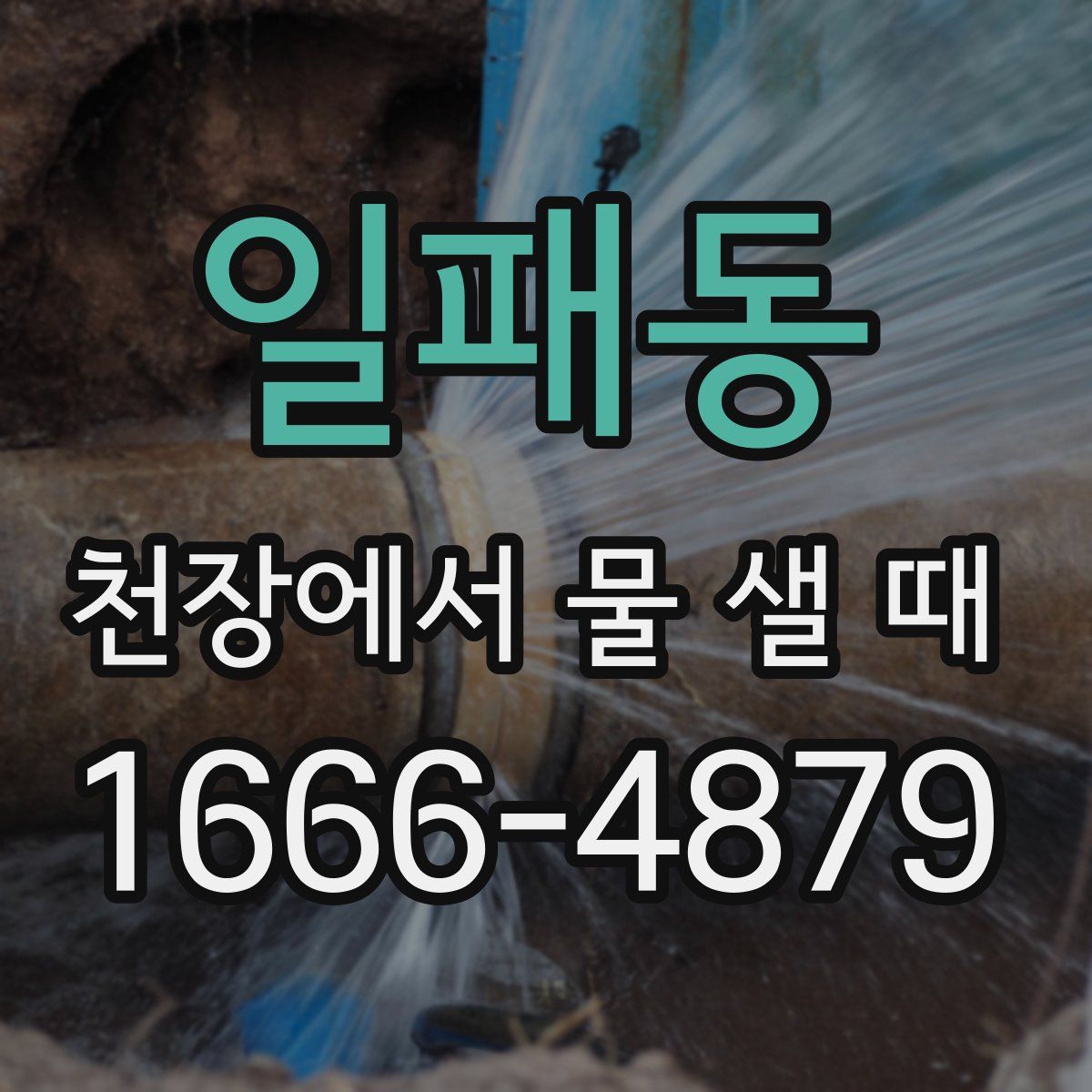 일패동 천장에서 물 샐 때