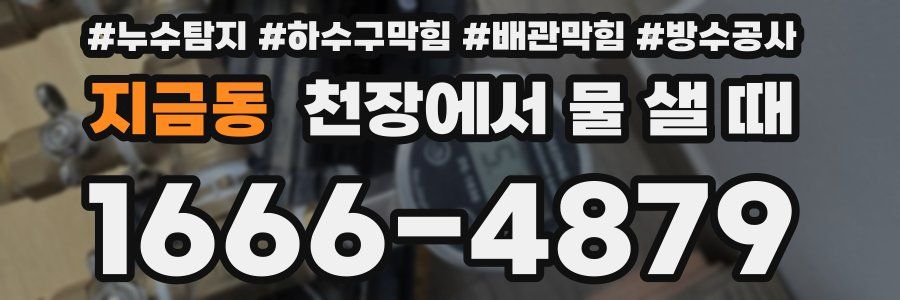 지금동 천장에서 물 샐 때