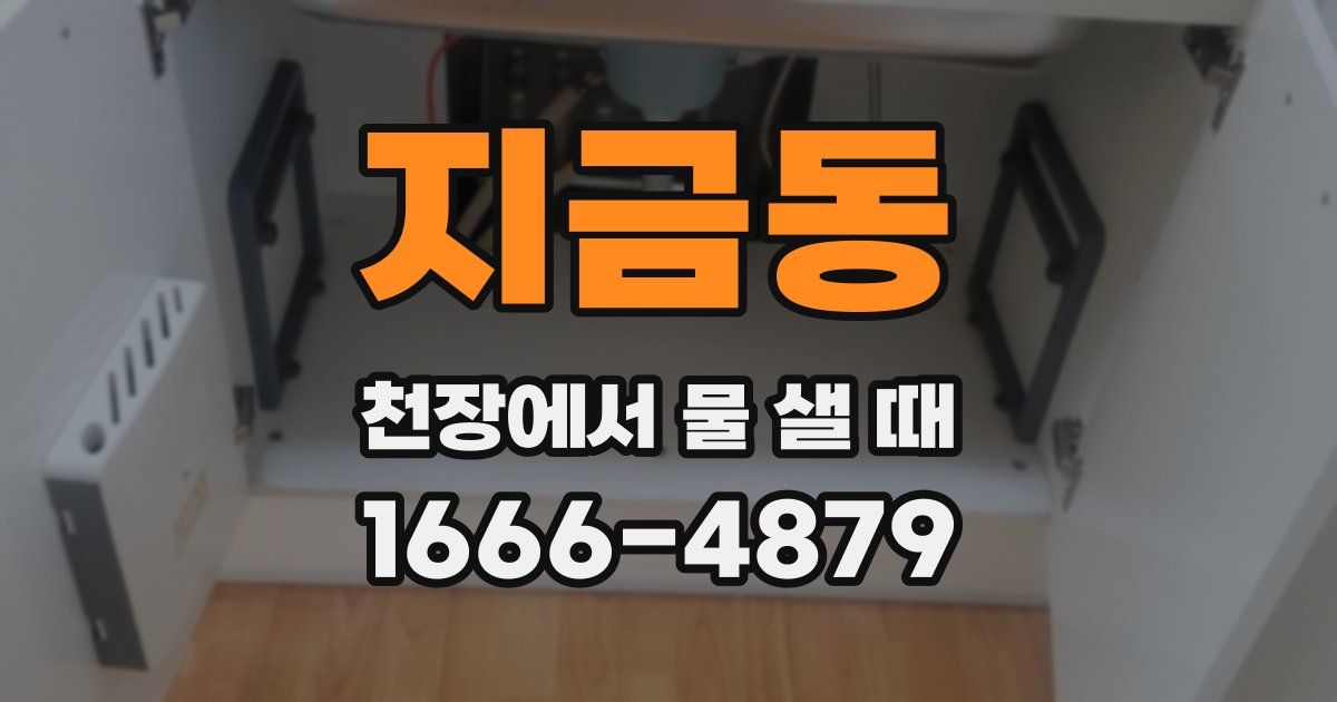 지금동 천장에서 물 샐 때