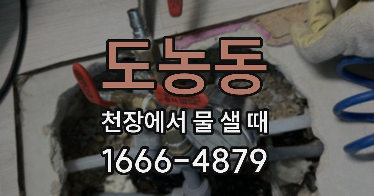 도농동 천장에서 물 샐 때