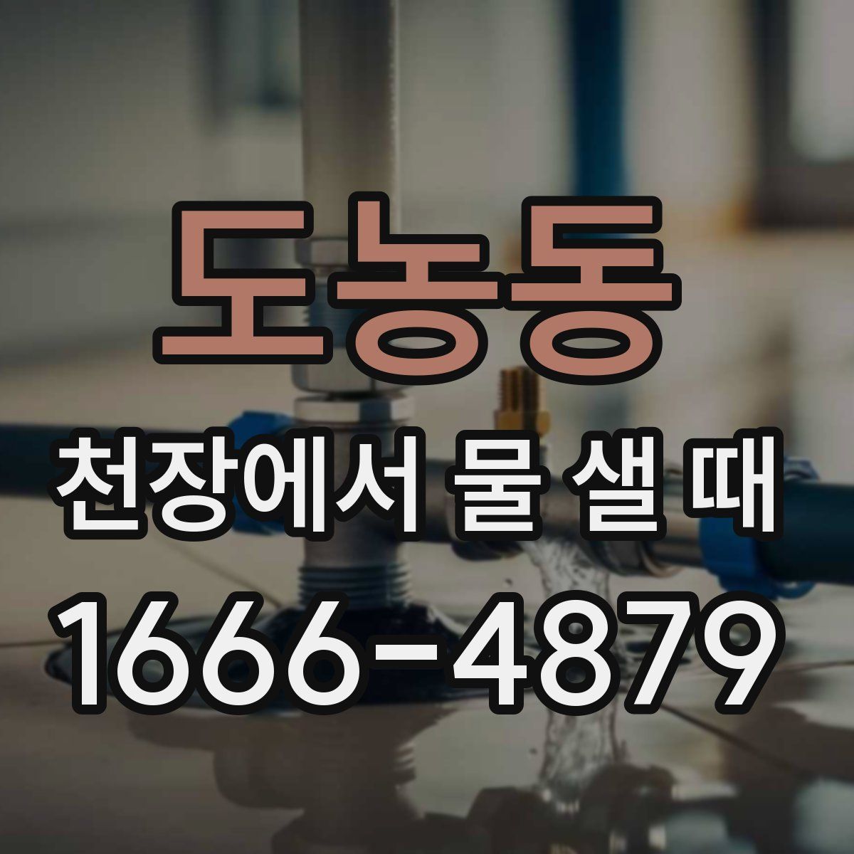 도농동 천장에서 물 샐 때