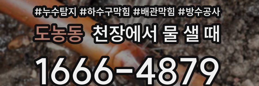 도농동 천장에서 물 샐 때