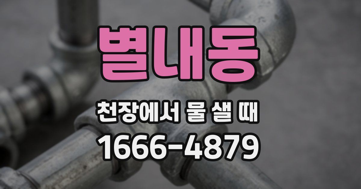 별내동 천장에서 물 샐 때