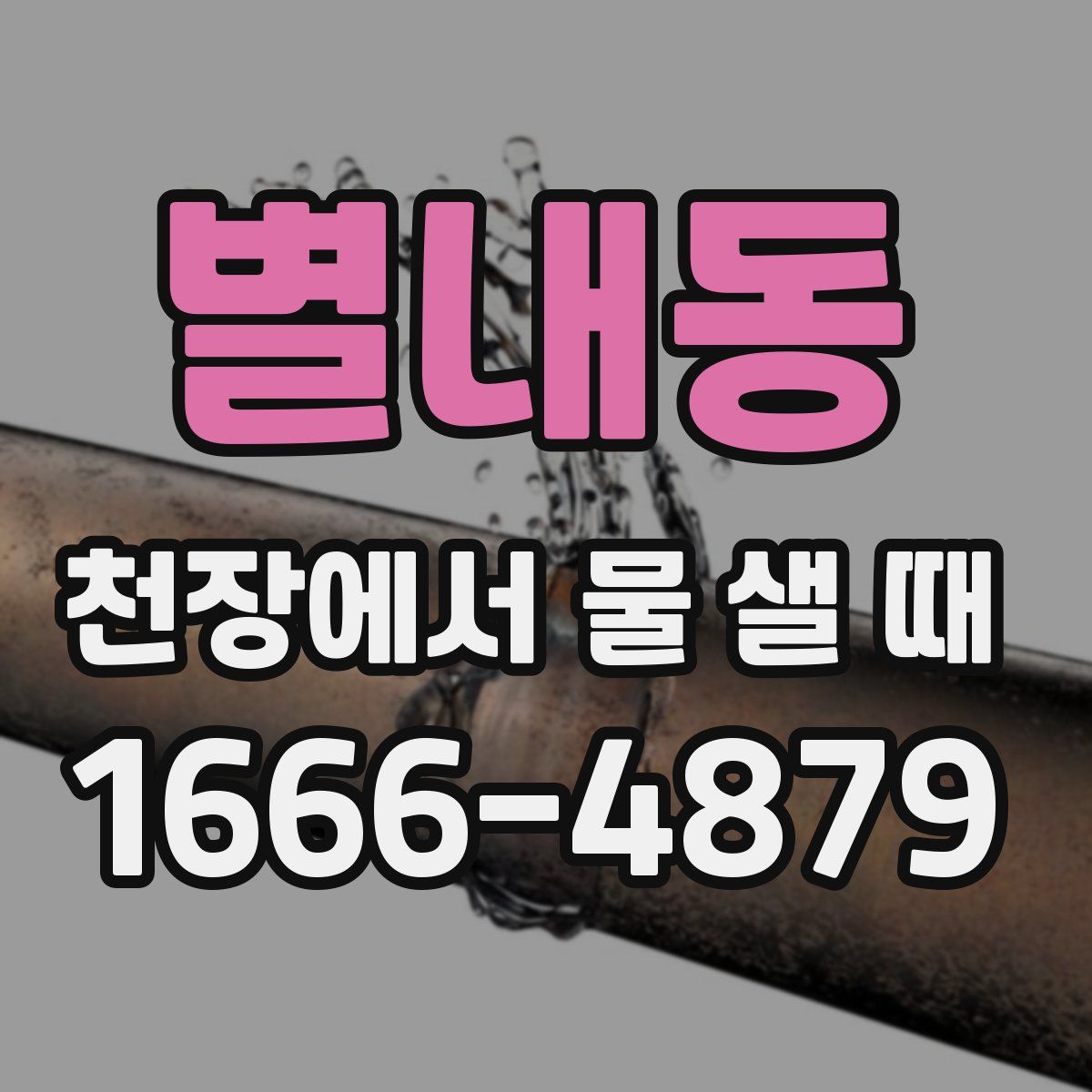 별내동 천장에서 물 샐 때