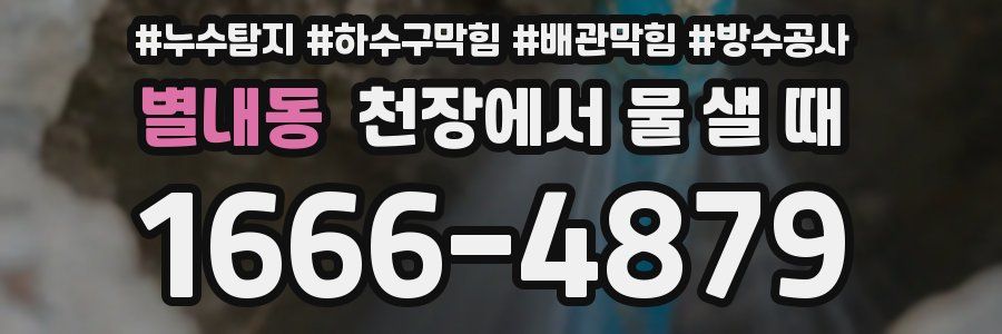 별내동 천장에서 물 샐 때