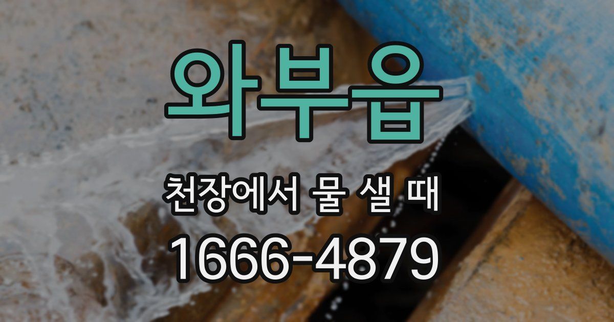 와부읍 천장에서 물 샐 때