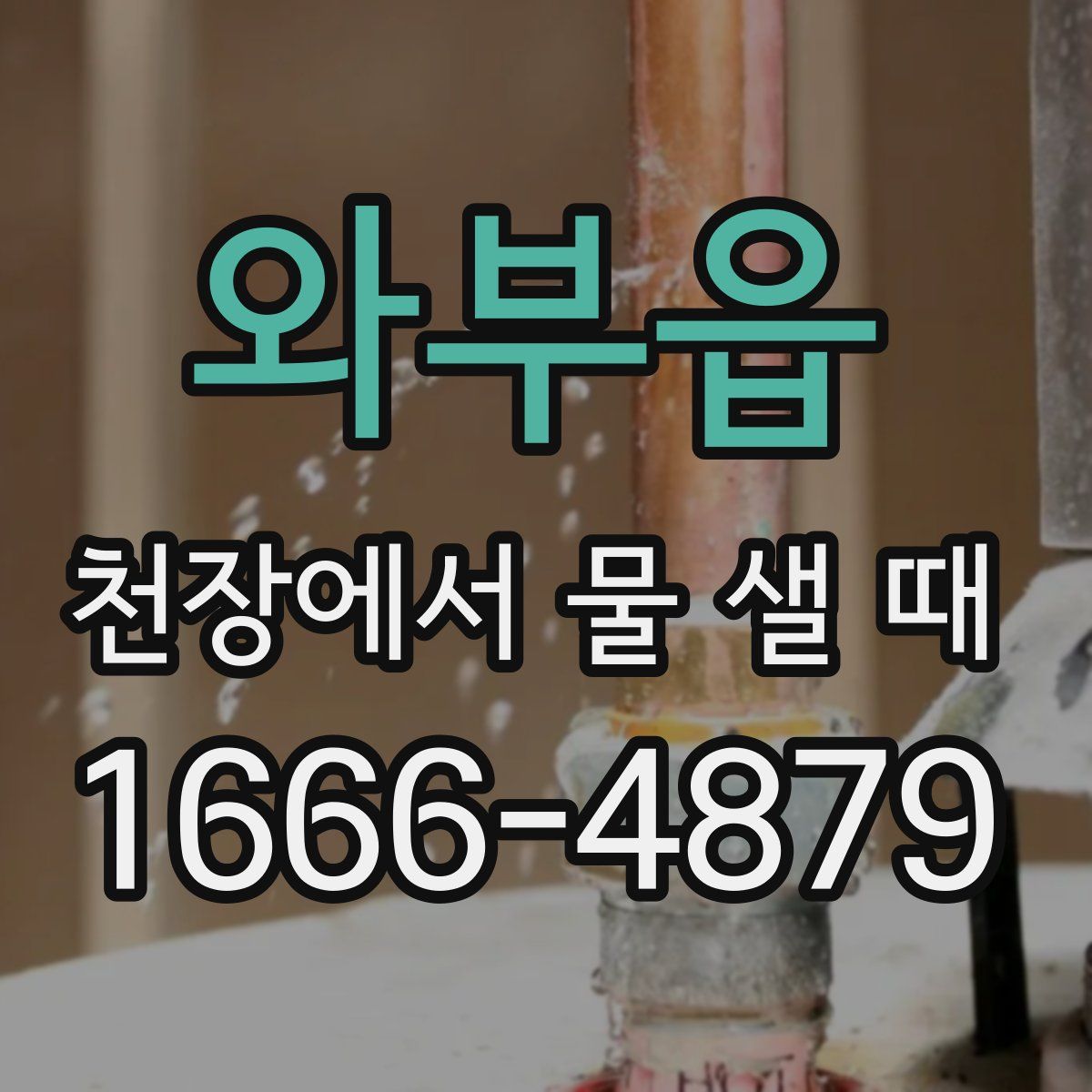 와부읍 천장에서 물 샐 때