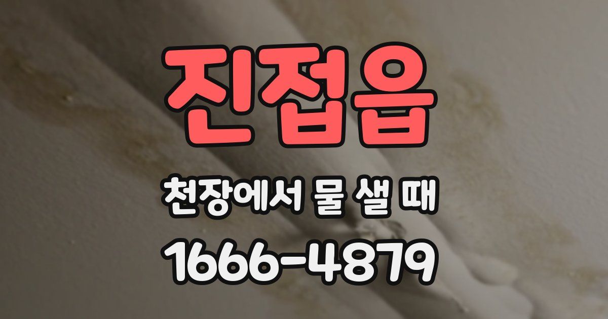 진접읍 천장에서 물 샐 때
