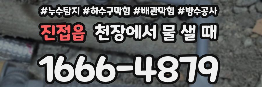 진접읍 천장에서 물 샐 때