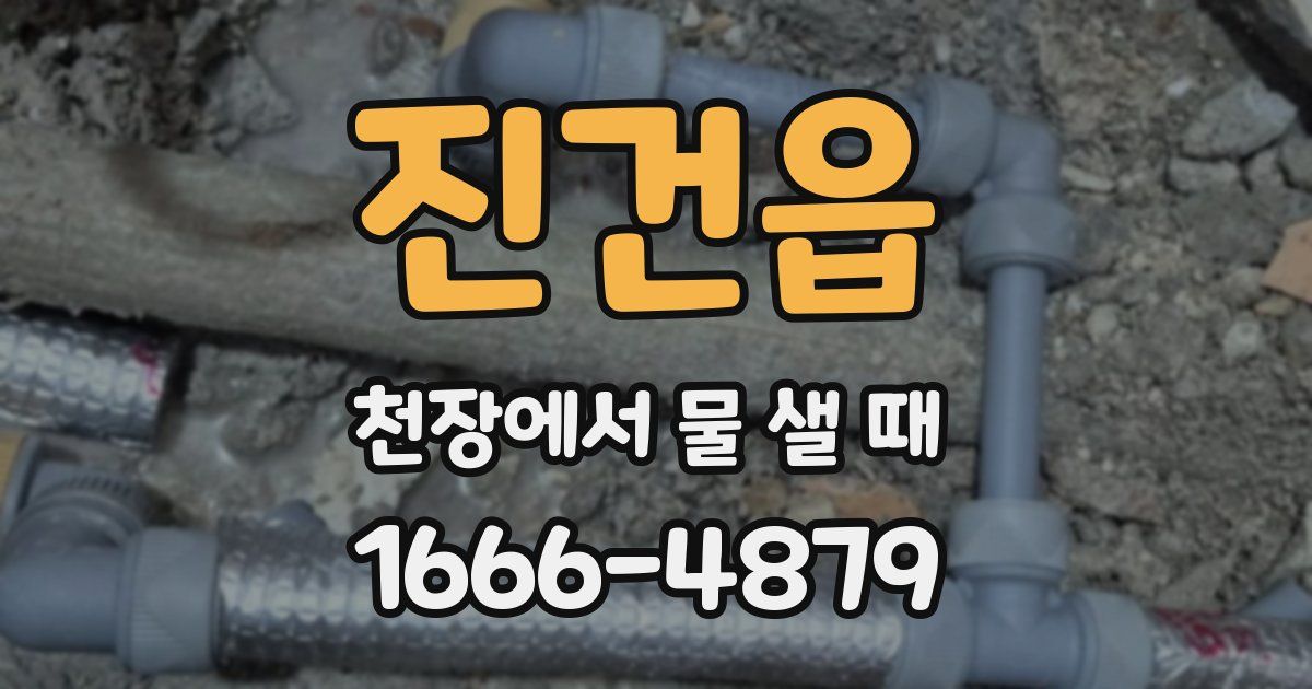 진건읍 천장에서 물 샐 때