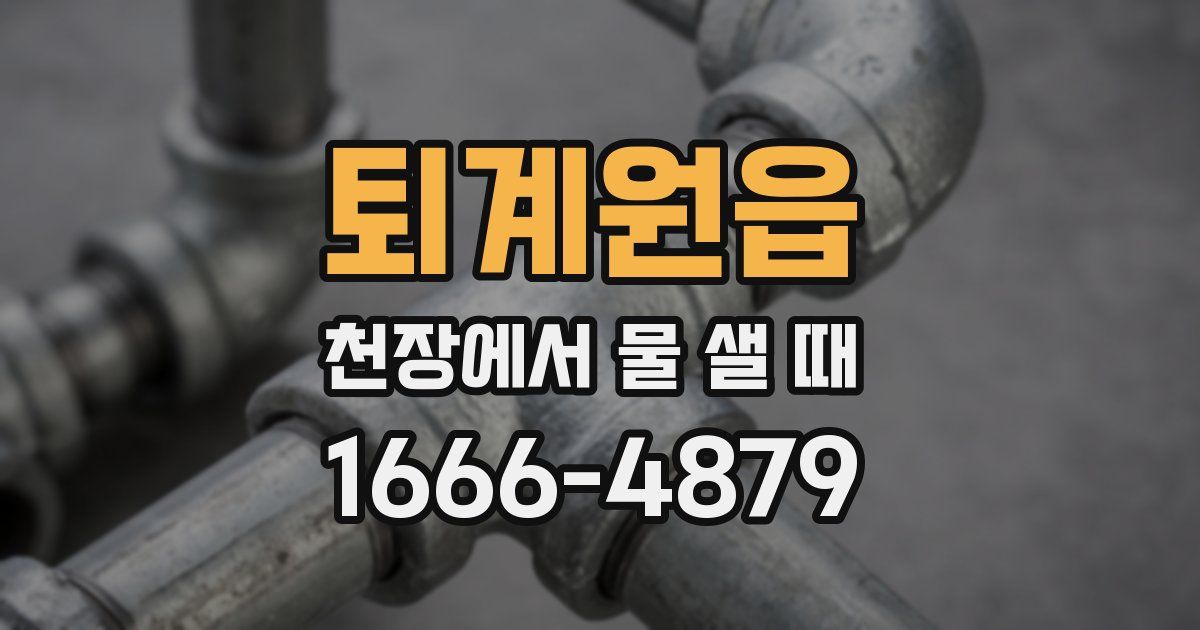 퇴계원읍 천장에서 물 샐 때