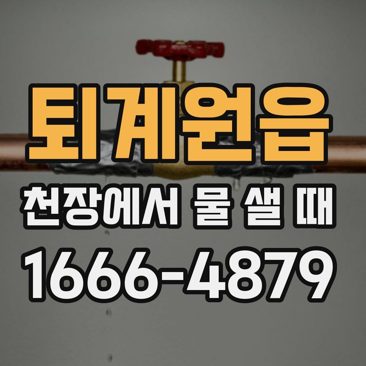 퇴계원읍 천장에서 물 샐 때
