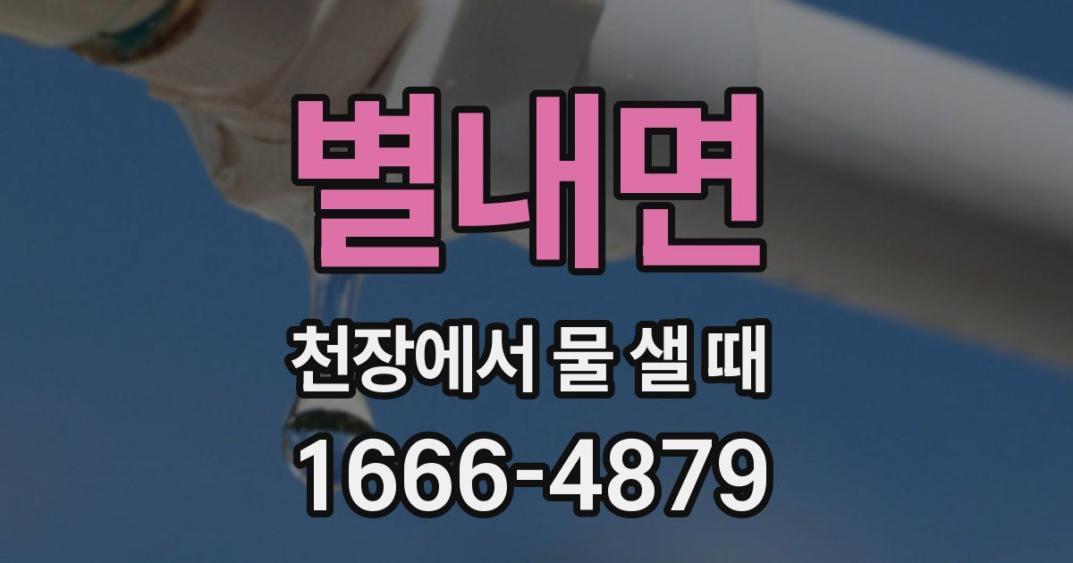 별내면 천장에서 물 샐 때