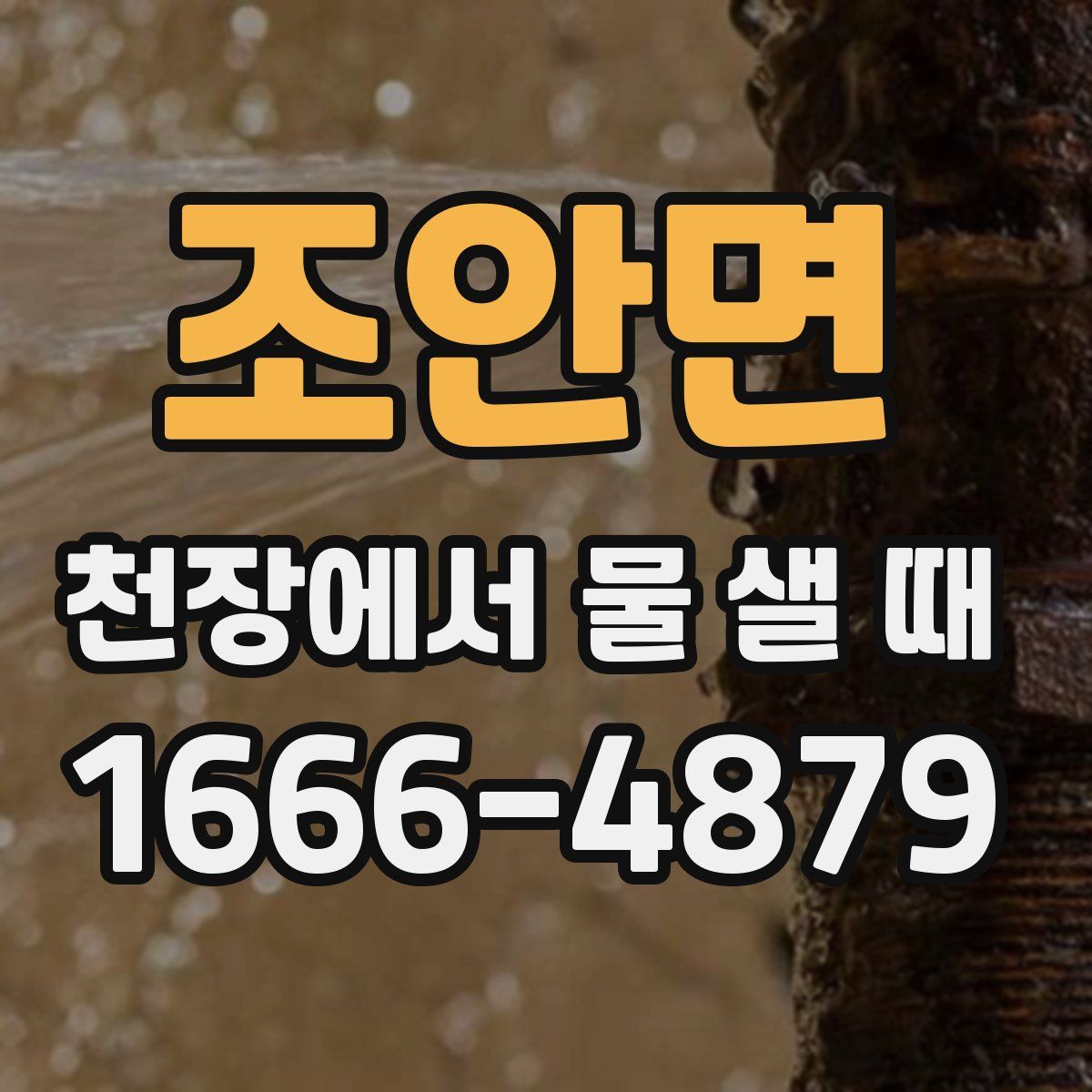 조안면 천장에서 물 샐 때
