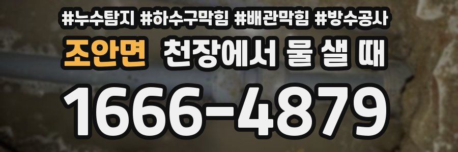 조안면 천장에서 물 샐 때