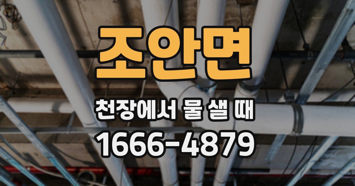 조안면 천장에서 물 샐 때