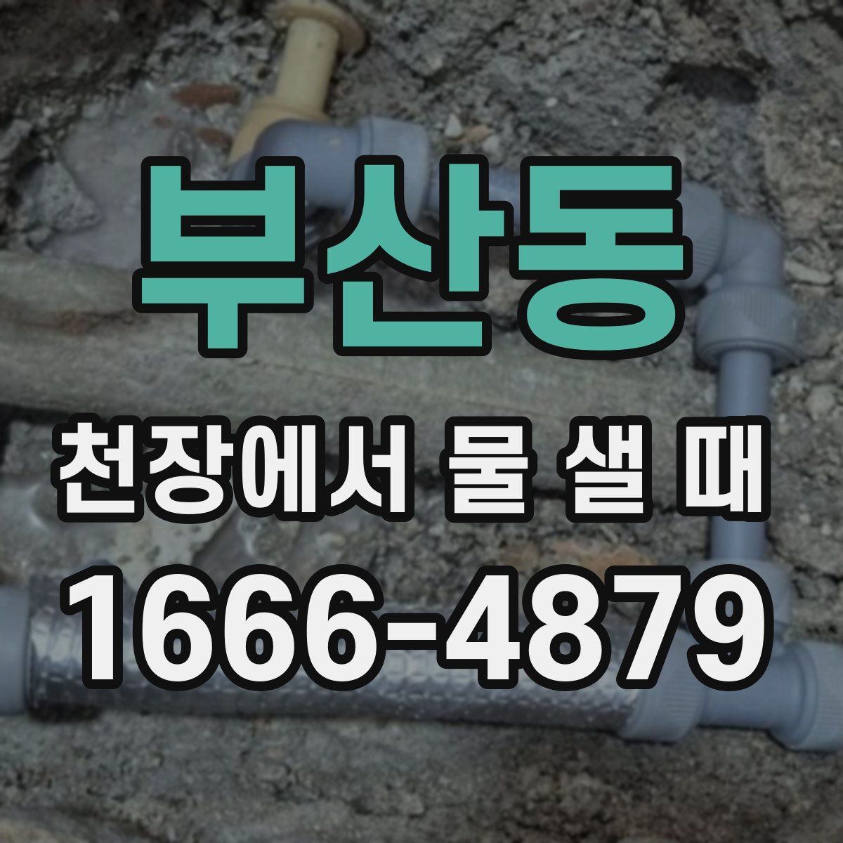 부산동 천장에서 물 샐 때