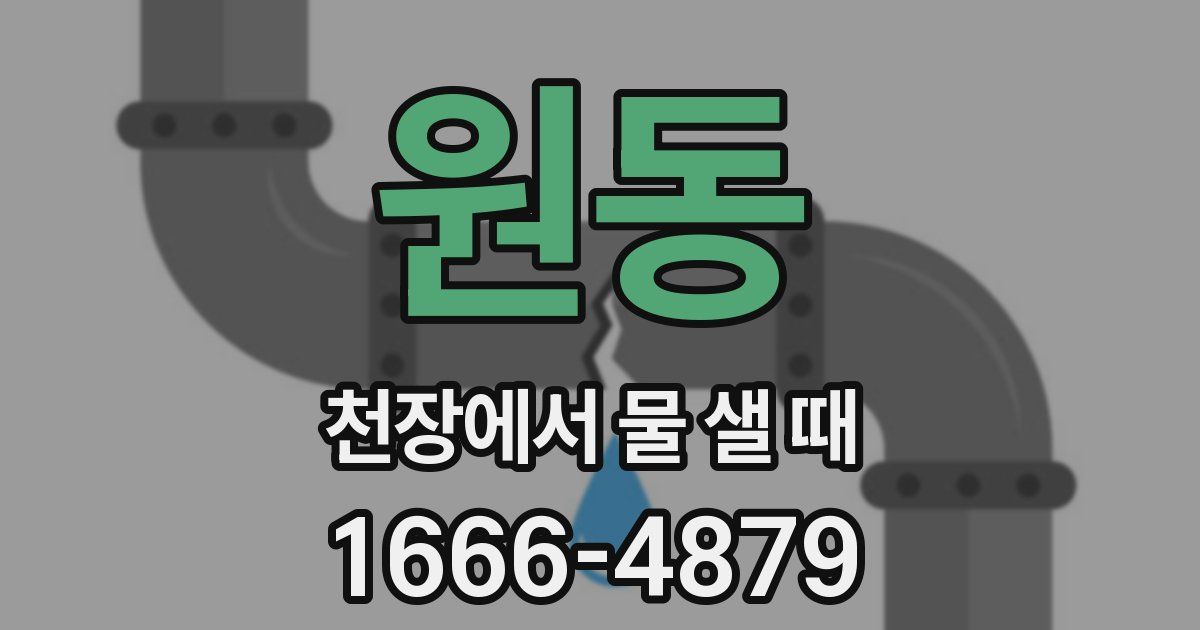 원동 천장에서 물 샐 때