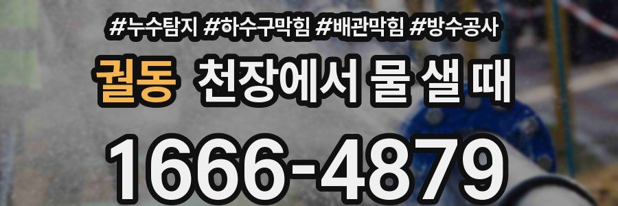 궐동 천장에서 물 샐 때