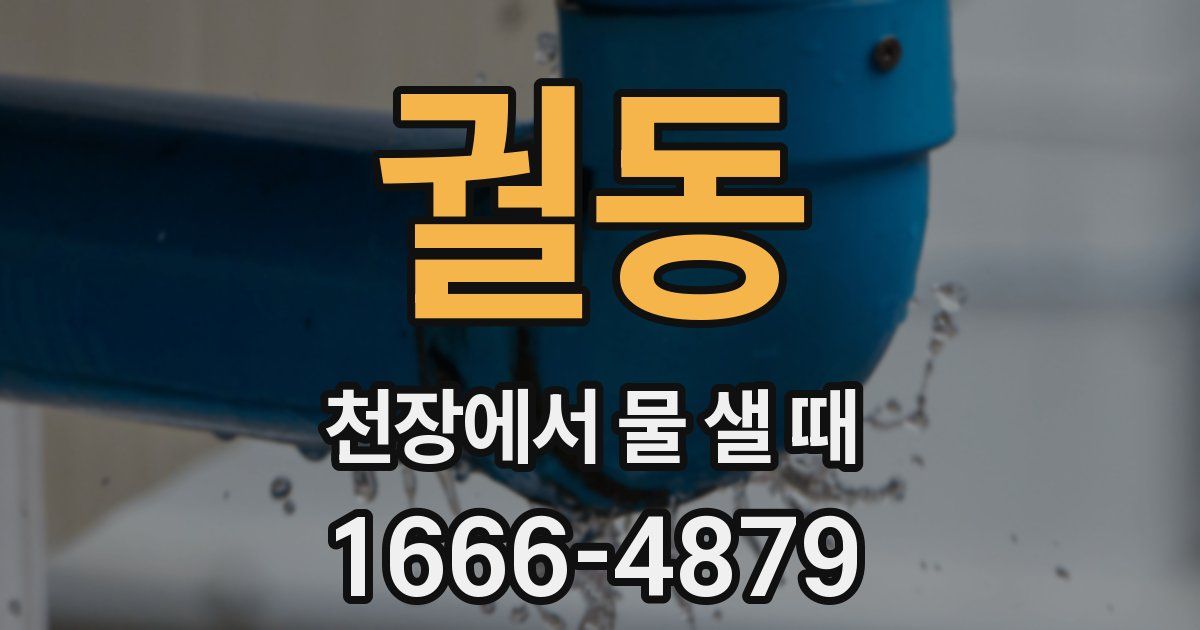 궐동 천장에서 물 샐 때