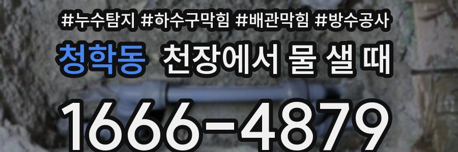 청학동 천장에서 물 샐 때
