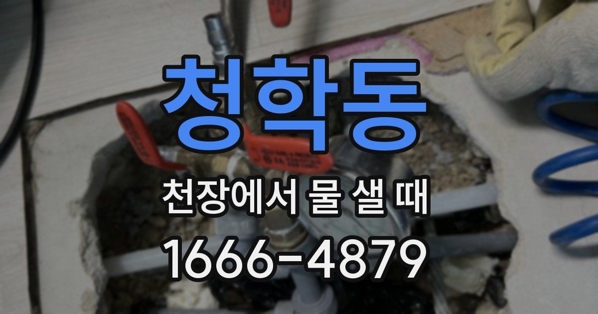 청학동 천장에서 물 샐 때
