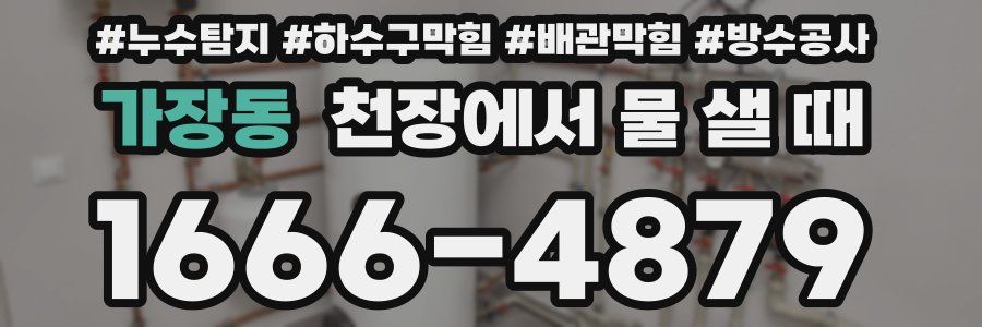 가장동 천장에서 물 샐 때