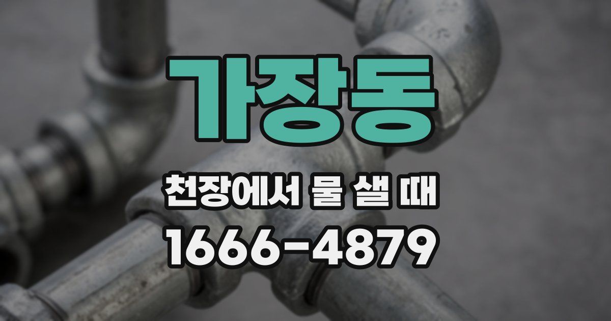 가장동 천장에서 물 샐 때