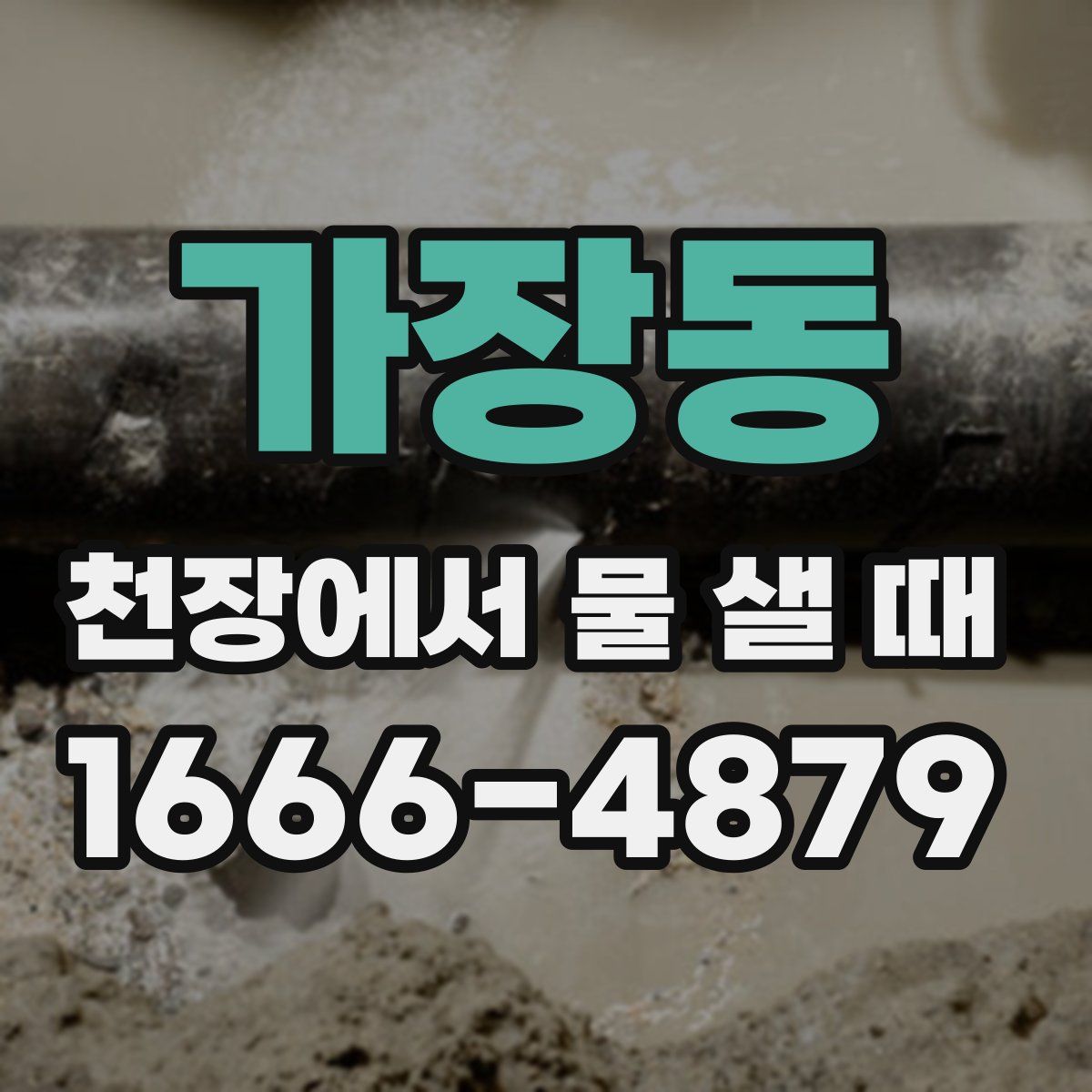 가장동 천장에서 물 샐 때