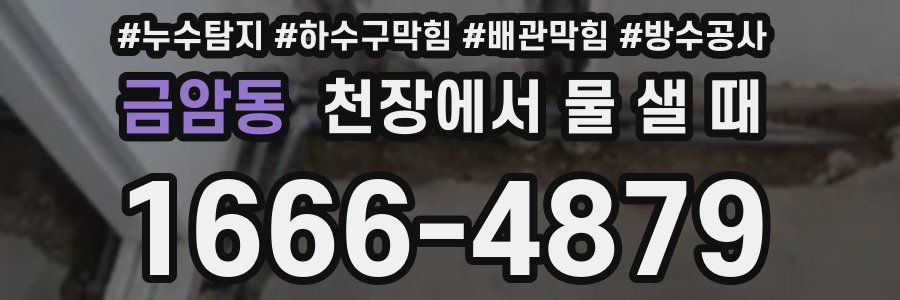 금암동 천장에서 물 샐 때