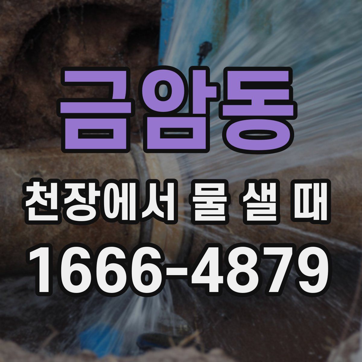 금암동 천장에서 물 샐 때