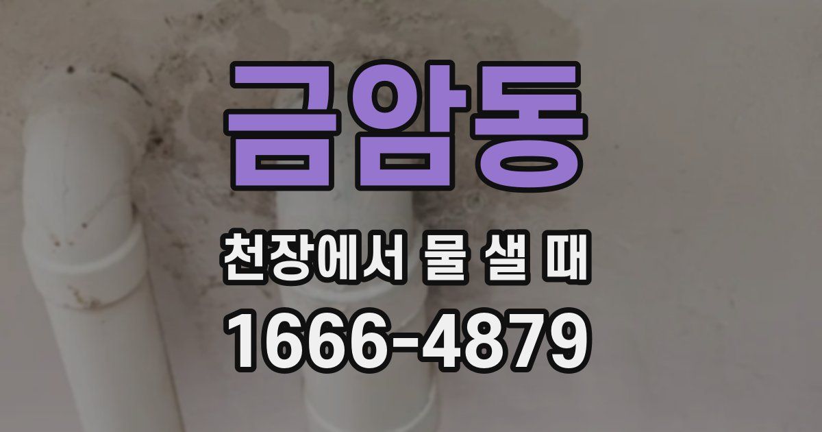 금암동 천장에서 물 샐 때
