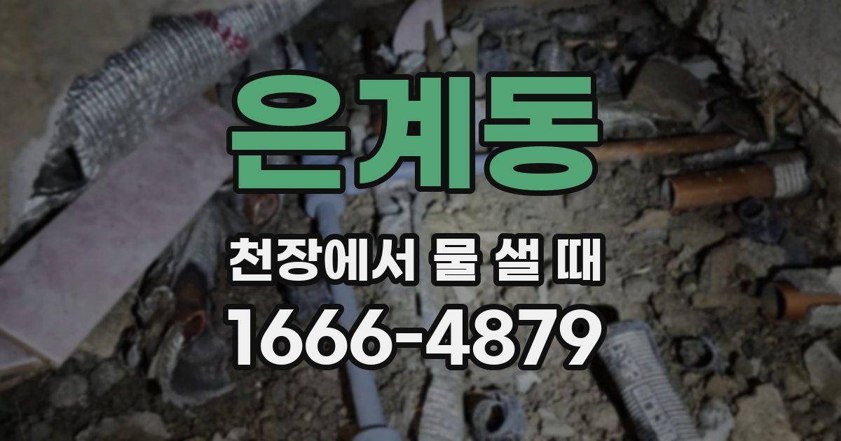 은계동 천장에서 물 샐 때