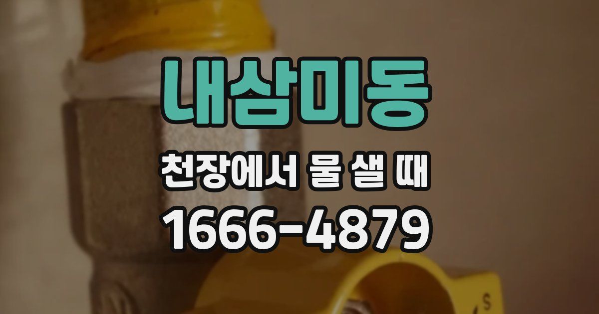 내삼미동 천장에서 물 샐 때