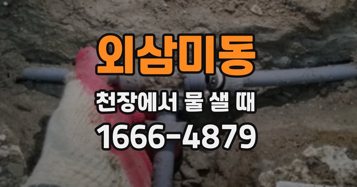 외삼미동 천장에서 물 샐 때