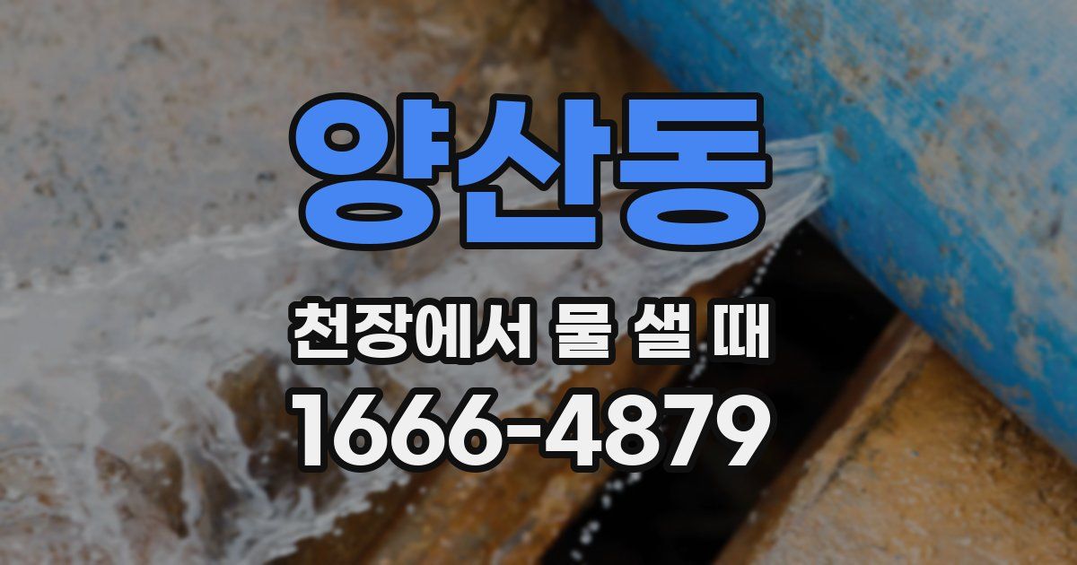 양산동 천장에서 물 샐 때