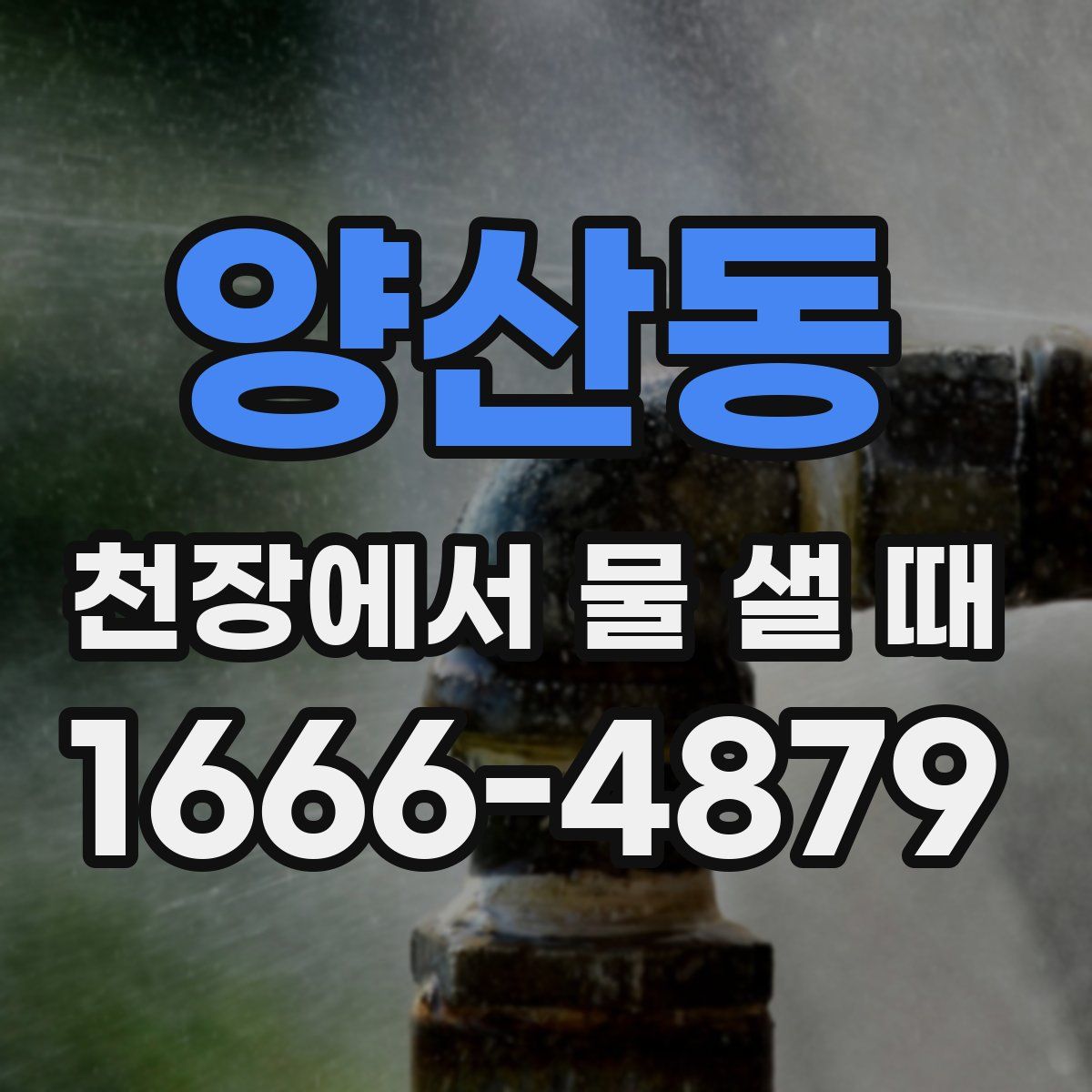 양산동 천장에서 물 샐 때