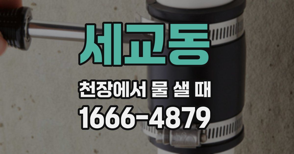 세교동 천장에서 물 샐 때