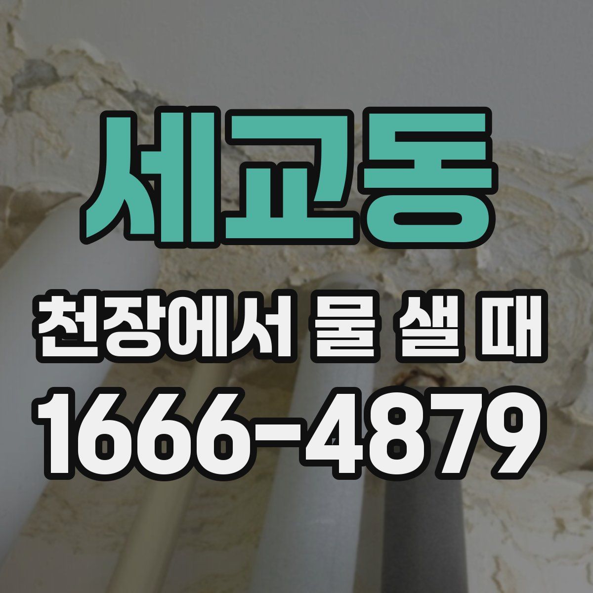 세교동 천장에서 물 샐 때