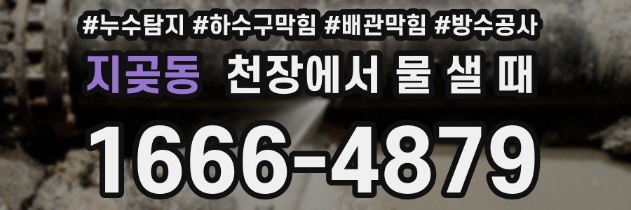 지곶동 천장에서 물 샐 때