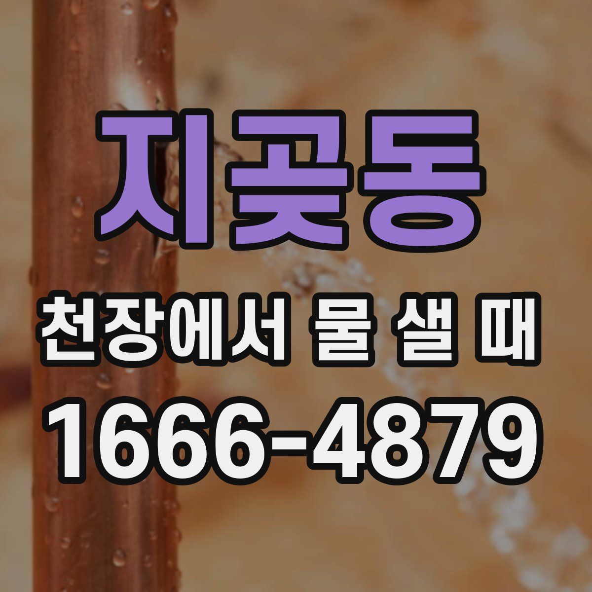지곶동 천장에서 물 샐 때